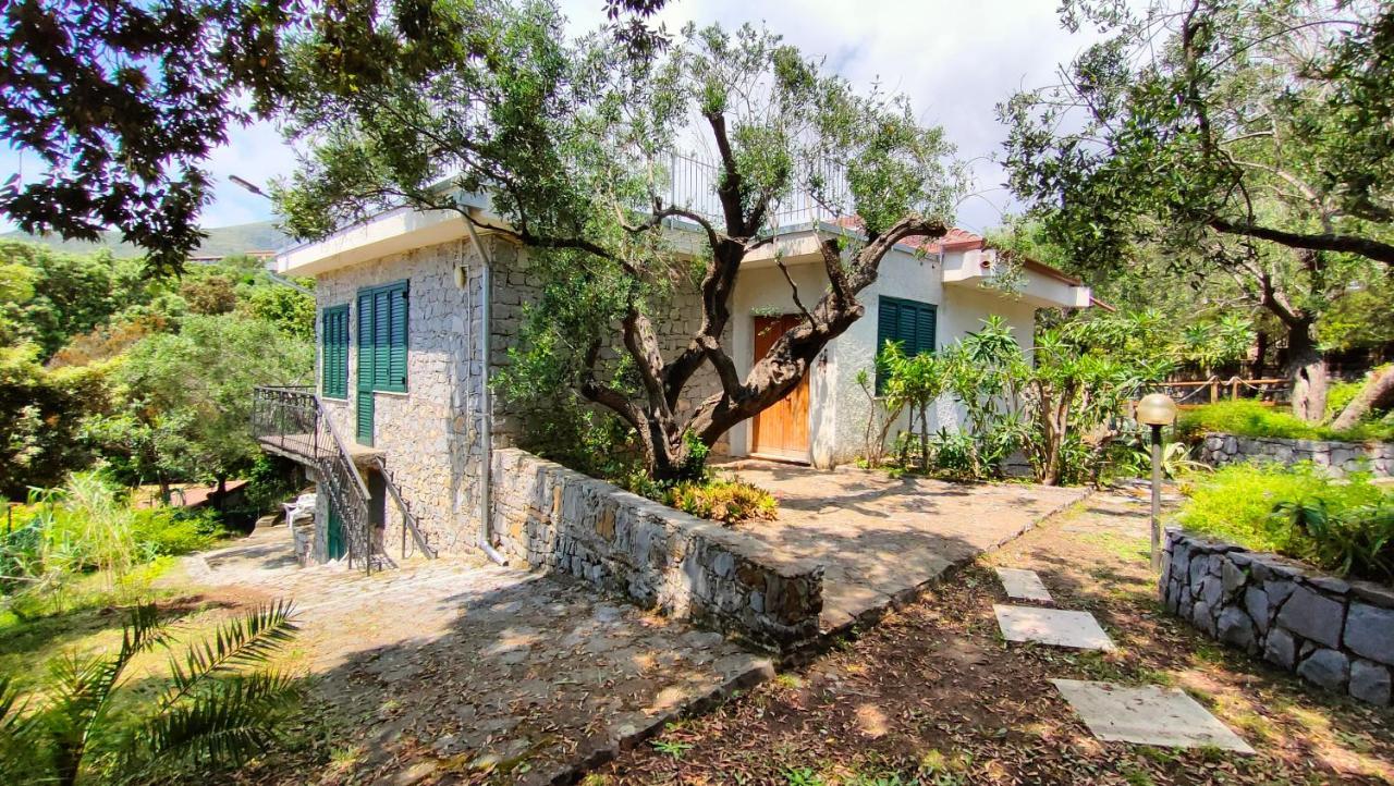 Villa Irma Marina di Camerota Exterior foto