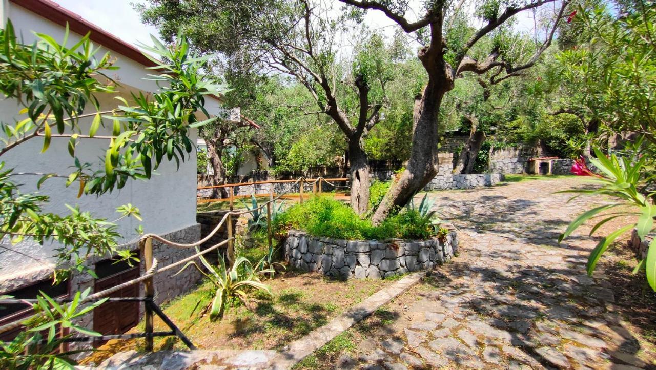 Villa Irma Marina di Camerota Exterior foto
