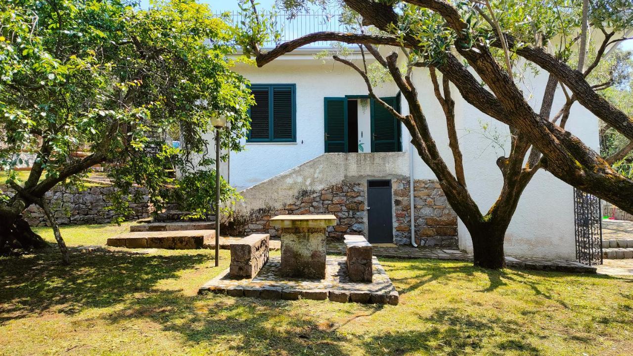 Villa Irma Marina di Camerota Exterior foto