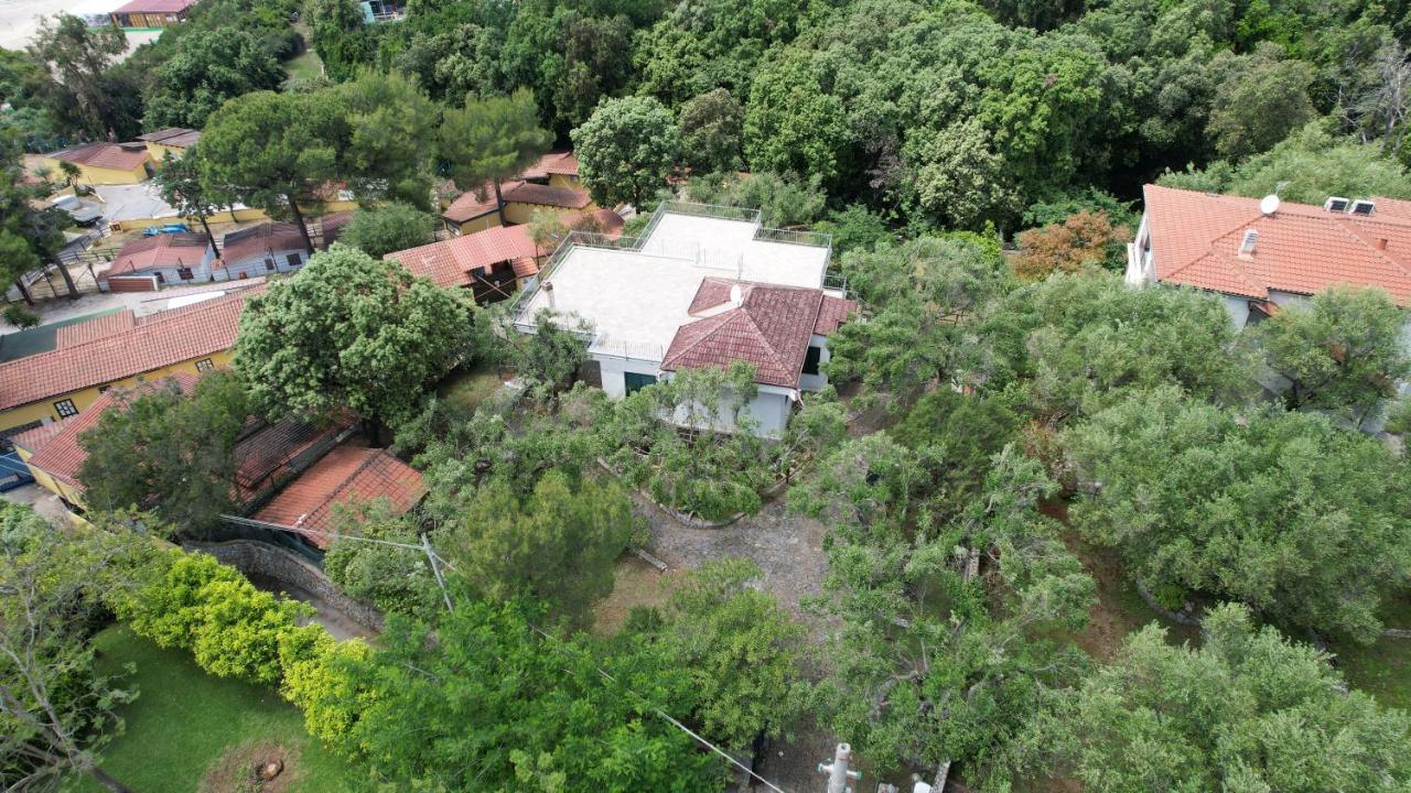 Villa Irma Marina di Camerota Exterior foto